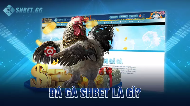 SHBET ttfw5r3r3o – Trang Chủ, Sản Phẩm & Hướng Dẫn Truy Cập 13 Đá gà Shbet là gì?